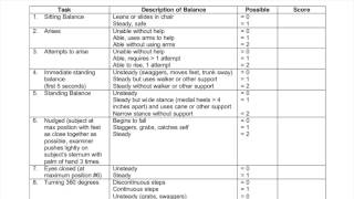 Functional Exam  Tinetti Performance Oriented Mobility Assessment [upl. by Enoid]