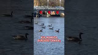 🔥Kul Namaza durunca namazaşkı shortvideo namaz keşfet short yaallahﷻ trending youtubeshorts [upl. by Zrike]