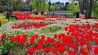 FLORIADE 2024  CANBERRA PANGPAR KÛT A KAN KALNA PART I [upl. by Hirz]