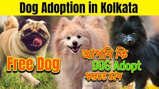 Free Dog Adoption Center In Kolkata  dog market in kolkata  Dog Price  kolkata dog market  Dogs [upl. by Elbart]