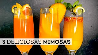 3 DELICIOSAS MIMOSAS  Como hacer las mejores mimosas [upl. by Remos]