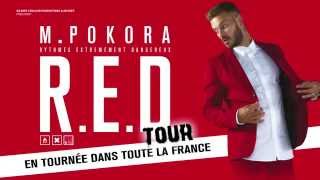 M Pokora  Tournée 2015 [upl. by Ymar754]