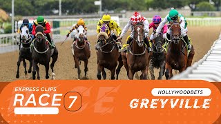 20241101 Hollywoodbets Greyville Race 7 won by FUTURE FLO [upl. by Ajani488]