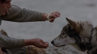 White Fang 1991  Taming Scene [upl. by Milly]