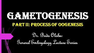 GAMETOGENESIS PART II  THE PROCESS OF OOGENESIS [upl. by Kelwen]