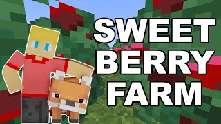 FAST Sweet Berry Farm Minecraft 120 [upl. by Ajet]