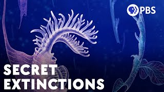 The Huge Extinctions We Are Just Now Discovering [upl. by Eryt]