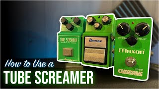 How to Use a Tube Screamer [upl. by Telrats860]