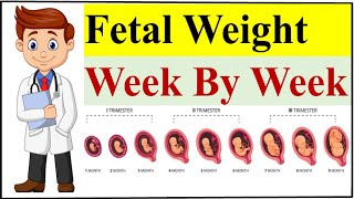 5 Tips to Increase Baby Weight During Pregnancy Normal Fetal Weight Week By Week [upl. by Aiciruam]