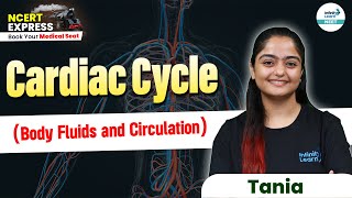 Complete Details of Cardiac Cycle  Body Fluids amp Circulation  NEET 2025  Class 11 Biology [upl. by Nitsirk293]