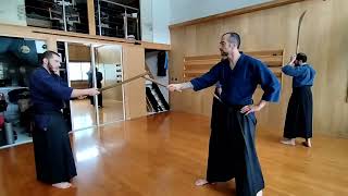 Katori Shinto ryu Ko Dachi training [upl. by Witha786]