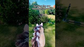 Hobby horse jumping training [upl. by Jacie]