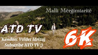 Valdet Idrizaj  Malli i mërgimtarit  OFFICIAL 6K VIDEO  ATD TV PEJË [upl. by Steele]