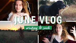 🍃 writing fanfic of my own book and other such writerly nonsense 🖊️ a june writing vlog [upl. by Kieffer731]