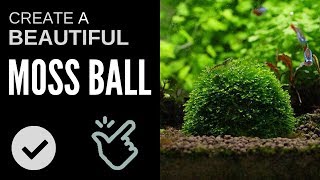 How to Easily Make a Moss Ball for Your Aquarium [upl. by Emmanuel496]