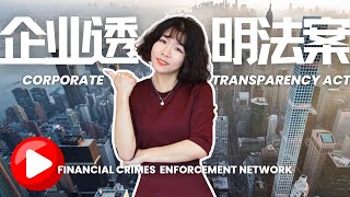 【硅谷宝典四十二章经（23）】CTA企业透明法案（Corporate Transparency Act）FinCen美国财政部金融犯罪执法局、BOI受益所有人信息 [upl. by Albie35]