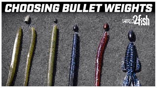 Why Use ColorMatched Tungsten Bullet Weights Over Lead [upl. by Ilarin]