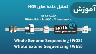 آموزش تحلیل داده های NGS ژنومیکس WES و WGS  جلسه ۲  SRAtooklit  fastqc  Trimmomatic [upl. by Niamreg867]