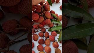 REMOVE Açúcar do Sangue Lichia Fruta Ideal pra quem Sofre com Diabetes [upl. by Naux]