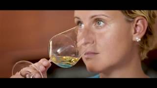 Explore Wines of Germany  Trailer [upl. by Euqina317]