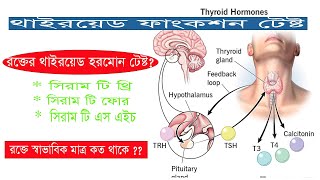 থাইরয়েড হরমোন টেষ্ট টি থ্রি টি ফোর টি এস এইচ Thyroid Function Test T3 T4 TSH Thyroid Prof [upl. by Roath]