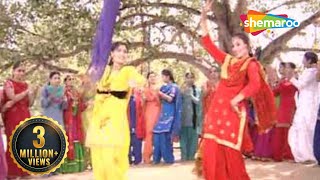 Punjabi Wedding Songs  Miss Pooja  Tave Tave Tave  Teeyan Teej Diyan  Shemaroo [upl. by Ealasaid385]