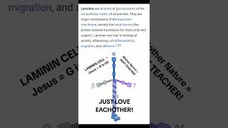 LAMININ CELL  MOTHER NATURES PROOF OF JESUS  G is US Love [upl. by Yspyg]