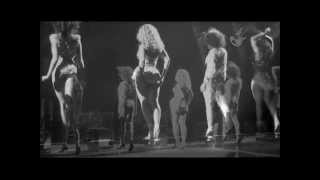 Beyoncé  Dance For You Live At Revel Exclusive Version [upl. by Yarehs585]