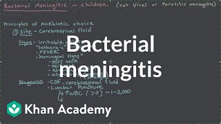 Bacterial meningitis  Miscellaneous  Heatlh amp Medicine  Khan Academy [upl. by Attenrad]