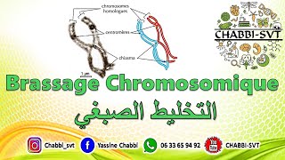 BRASSAGE CHROMOSOMIQUE [upl. by Angle]