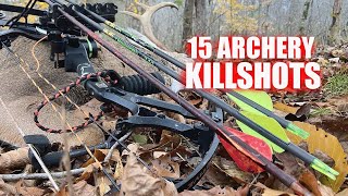 15 Archery KILLSHOTS in 4 MINUTES Bowhunting Deer Compilation [upl. by Treblah]