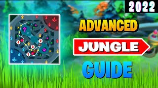 How to JUNGLE like a PRO Only JUNGLE GUIDE You Need [upl. by Amoritta]