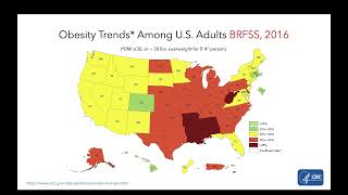 Historical Trends and Prevalence of Obesity [upl. by Danyelle]