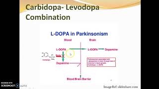 Pharmacology of Levodopa  M P Dixit [upl. by Arrakat991]