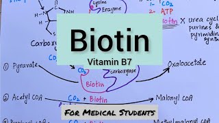 Biotin  Introduction Structure Functions Sources Deficiency Manifestations [upl. by Aliled358]