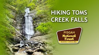 Hiking to Toms Creek Falls in Pisgah National Forest North Carolina [upl. by Oiram]