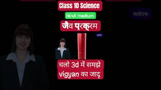 जैव प्रक्रम  life process  class 10 Science sciencexplorero ncert [upl. by Ecitnerp]