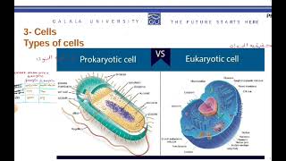 biophysics lecture1 dentistry GU [upl. by Joannes]