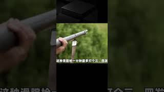 歷史學家點評戰爭游戲《要塞：國家戰爭》 游戲解說 游戲推薦 游戲規則 遊戲專家 遊戲推薦 [upl. by The]