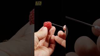 Fruits closeup compilation asmr macro satisfying [upl. by Ulane]