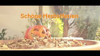 Schöne Herbstferien [upl. by Atiseret38]