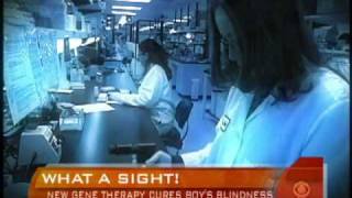 Genetic Therapy Restored Boys Sight [upl. by Siskind566]