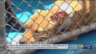 New Bakersfield animal control ordinances [upl. by Maryellen]