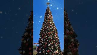 Knotts Merry Farm 🎄 Christmas Time at Knotts Berry Farm knottsmerryfarm knottsberryfarm [upl. by Ahsiemaj]