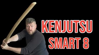 Kenjutsu Shoulder feint  SMART 8 [upl. by Alfi]