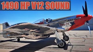 Starting up a P51 Mustang Pure sound [upl. by Yaresed]