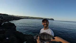 Faial Fishing with friends July 2024 [upl. by Capon]