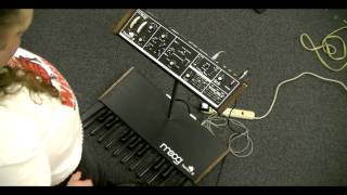 Moog Taurus II  An Audio Demo [upl. by Artined]