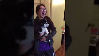 This talkative husky puppy has a lot to say to  dog talking like a men [upl. by Ahsiela]