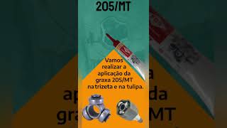 Lubrificação de Trizeta com a Graxa 205MT [upl. by Gill]